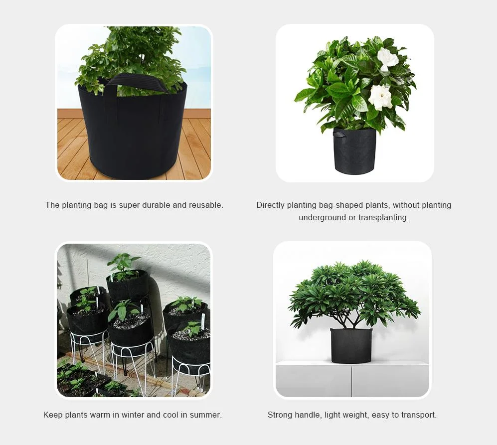 Flower Plant Bag Vegetable Garden Planting Pot Fast Delivery Round Black Fabric 3 5 10 15 20 30 200 Gallon Cheap Garden Pots Fabric Pots Potato Plant Grow Bags